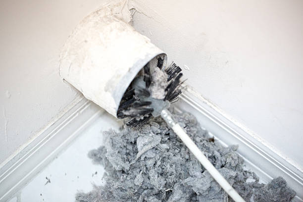 Best Duct Cleaning for Homes  in Bloomington, IL